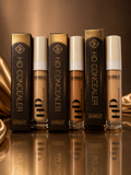 Insight HD Concealer 9gm 30%flat